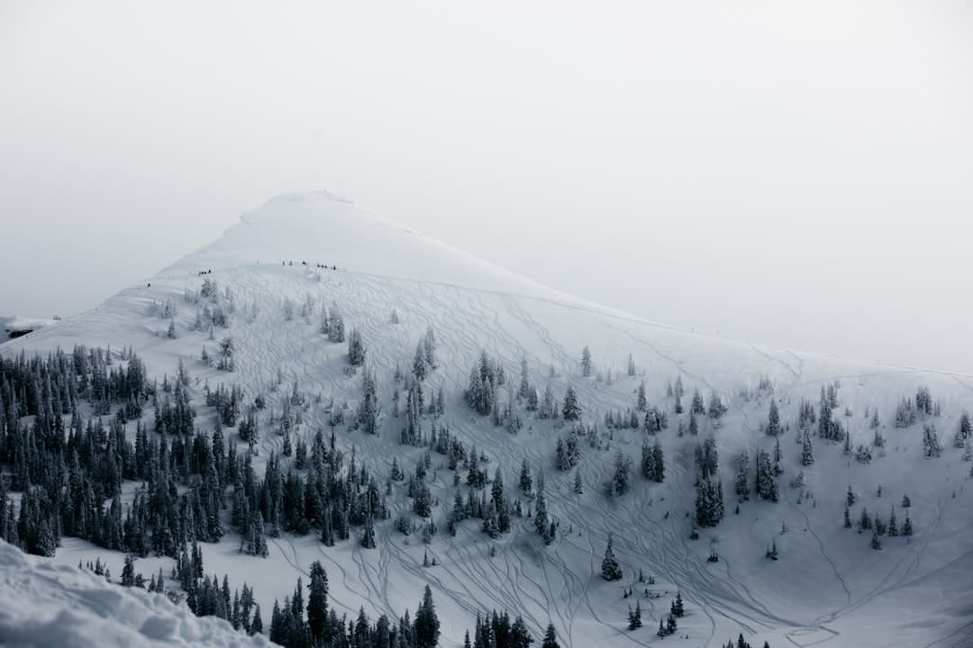 苗場滑雪場