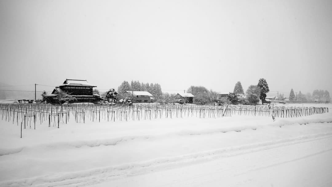 藏王溫泉滑雪場