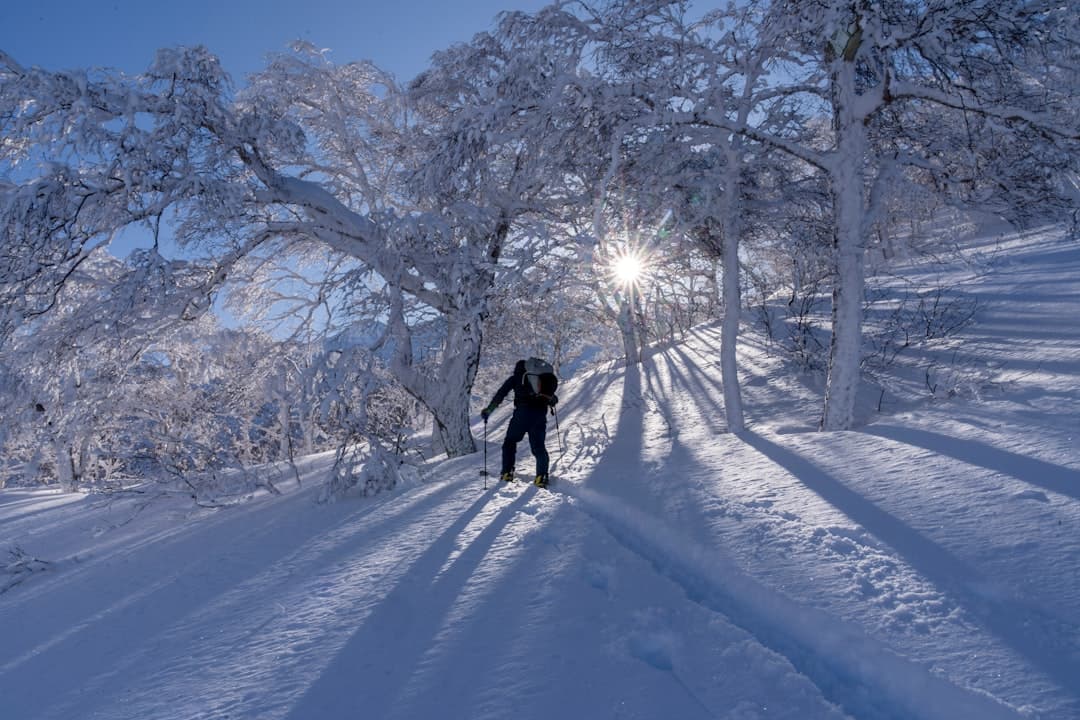 旭岳溫泉滑雪場