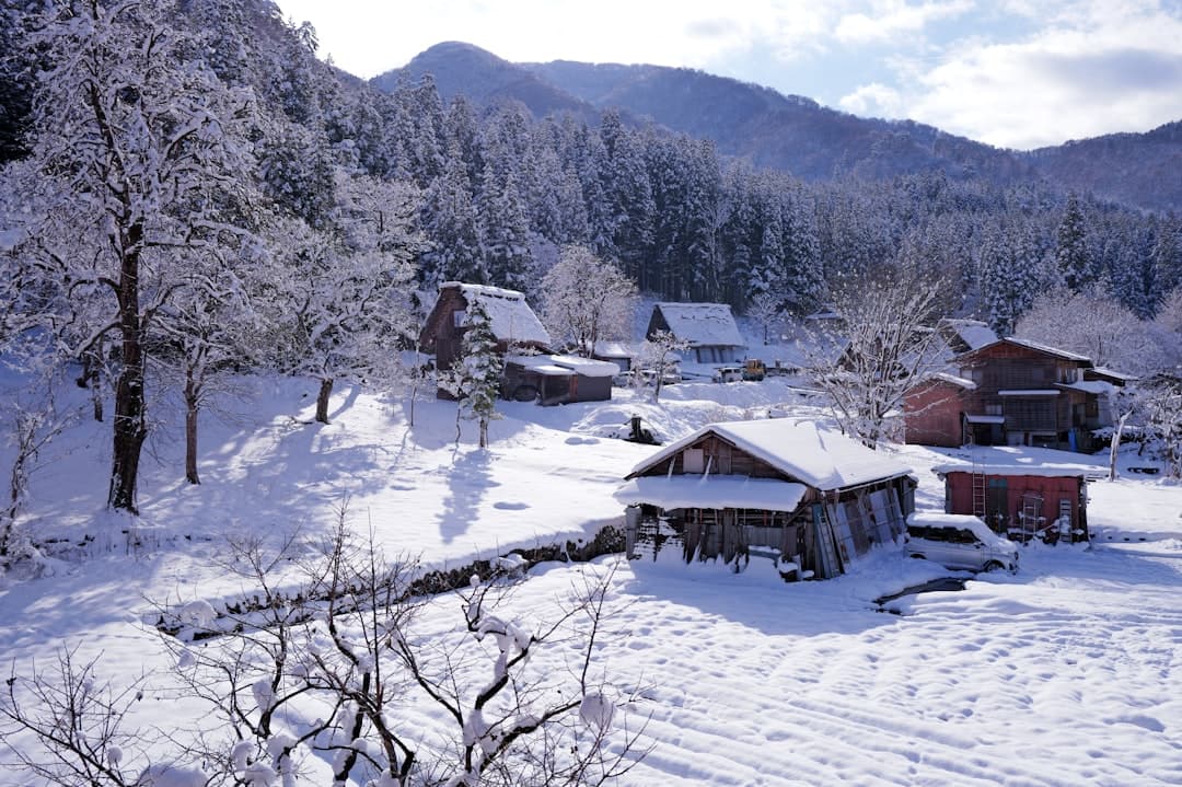天元台高原滑雪場