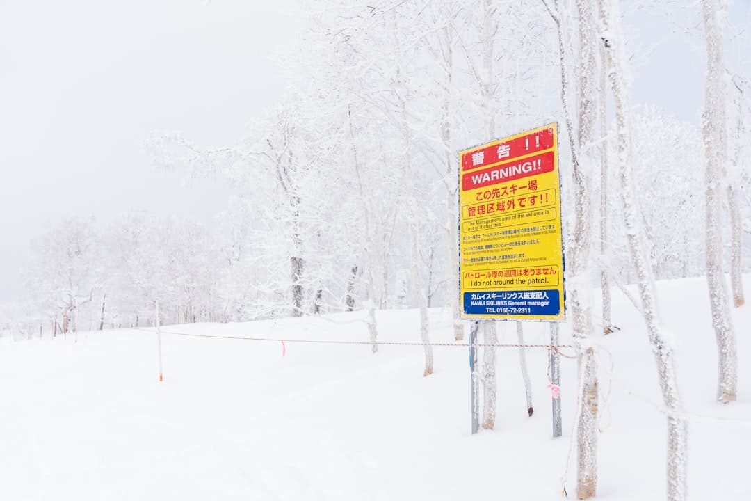 喜樂樂雪世界
