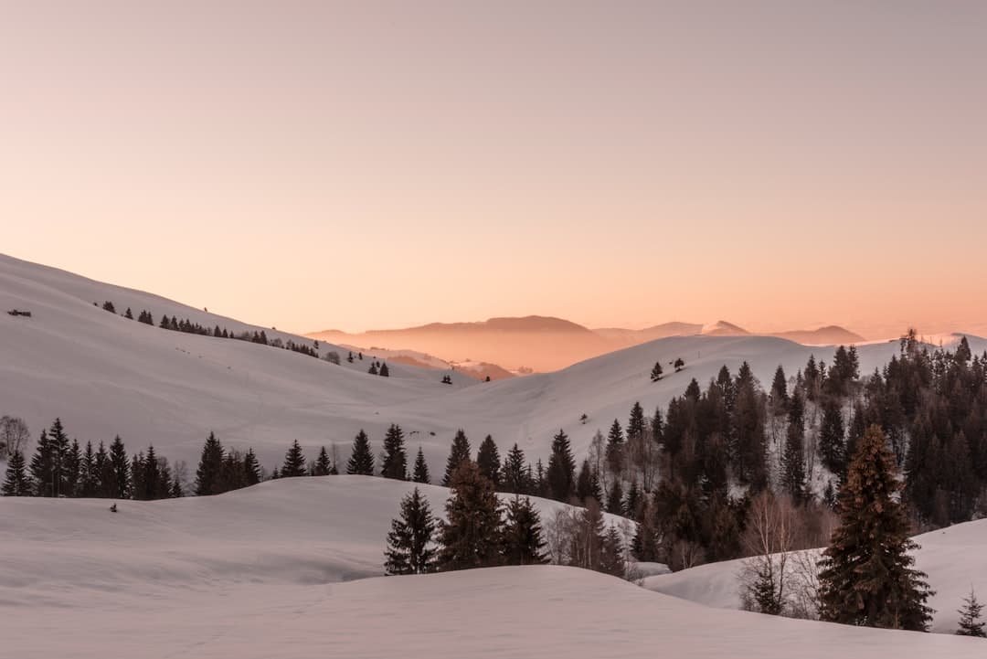 北志賀龍王滑雪場