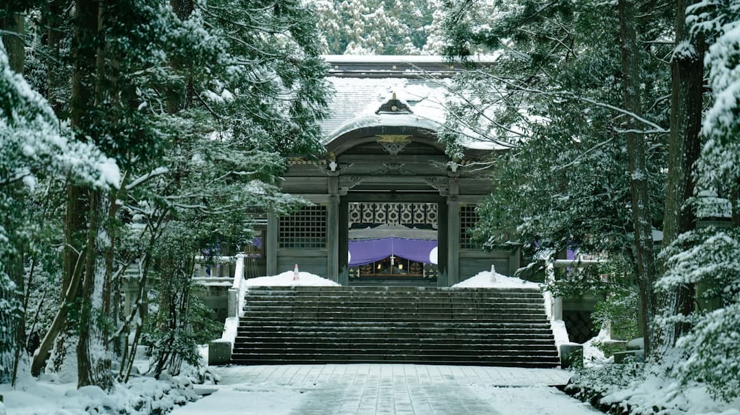 奧只見丸山滑雪場